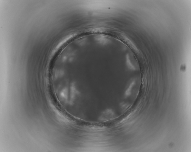 X0000093140722200710241342