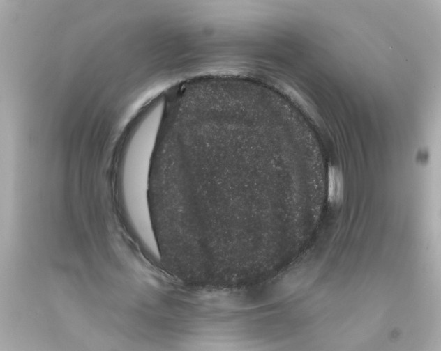 X0000093140723200710241342