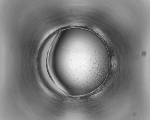 X0000093140726200710241342