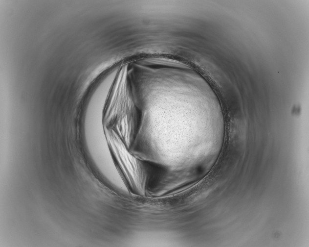 X0000093140727200710241342