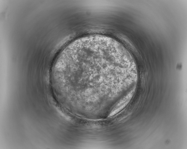 X0000093140729200710241342