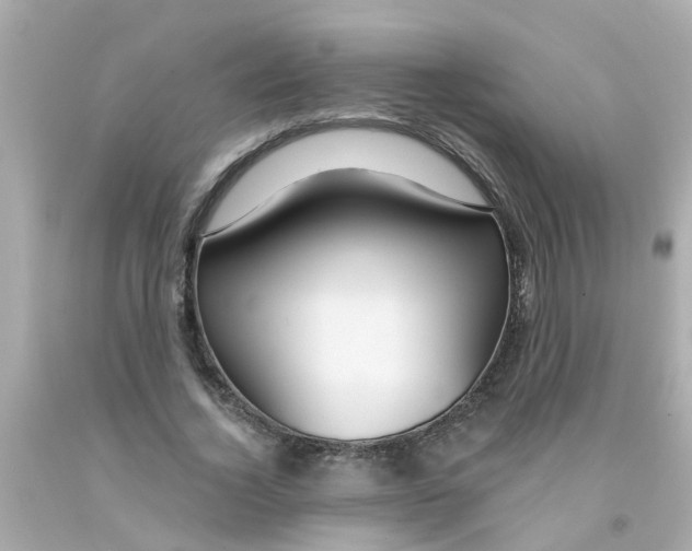 X0000093140732200710241342