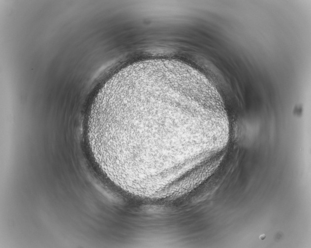 X0000093140733200710241342