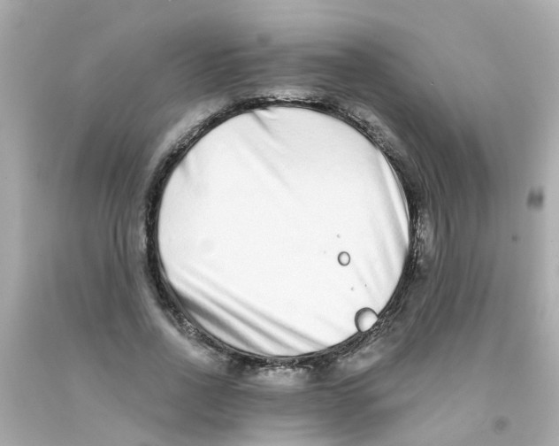 X0000093140734200710241342