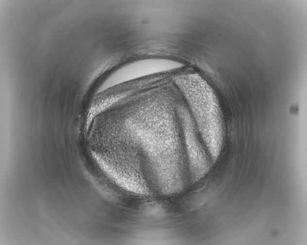 X0000093140735200710241342