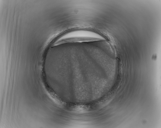 X0000093140736200710241342