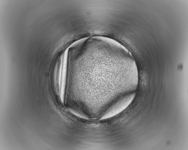 X0000093140738200710241342