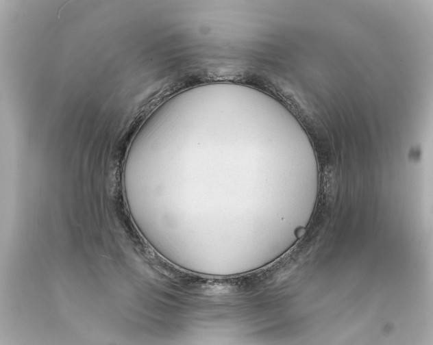 X0000093140741200710241342