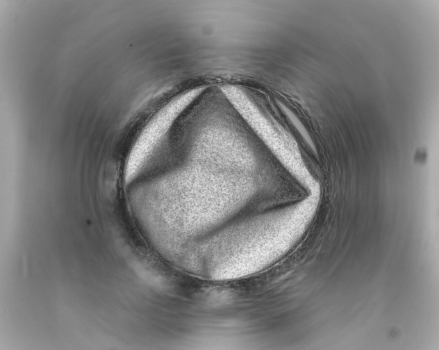 X0000093140742200710241342