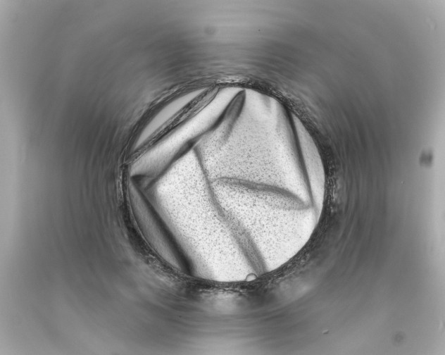 X0000093140743200710241342