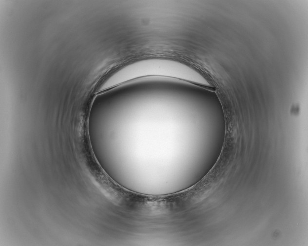 X0000093140744200710241342