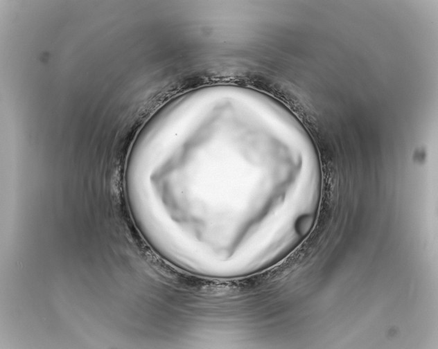 X0000093140745200710241342