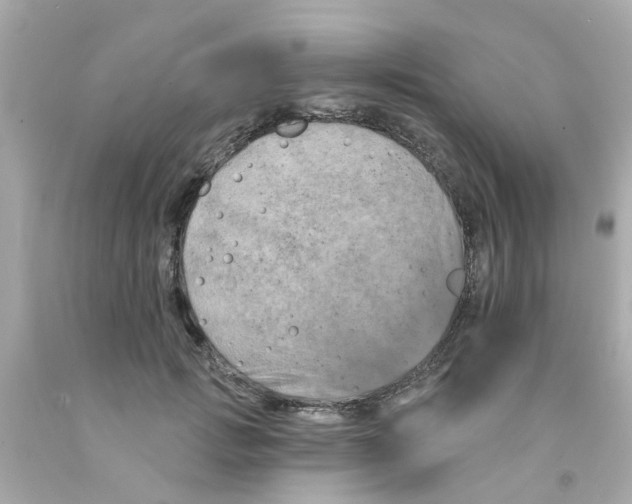 X0000093140749200710241342