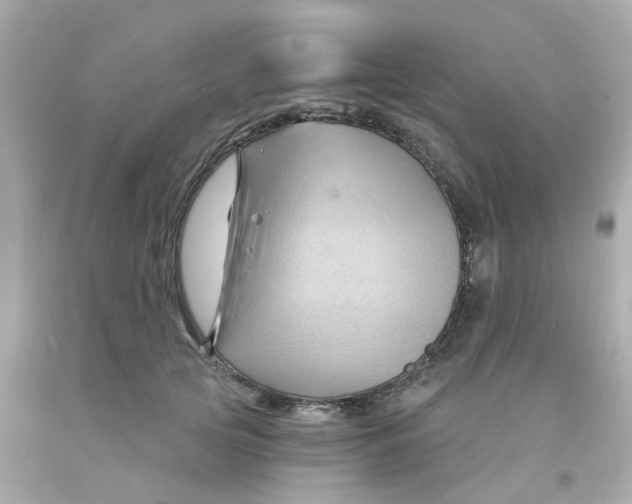 X0000093140753200710241342