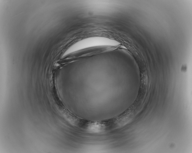 X0000093140754200710241342