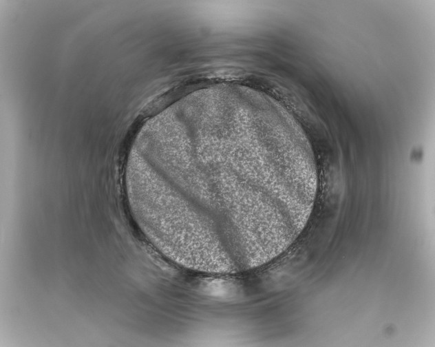 X0000093140755200710241342