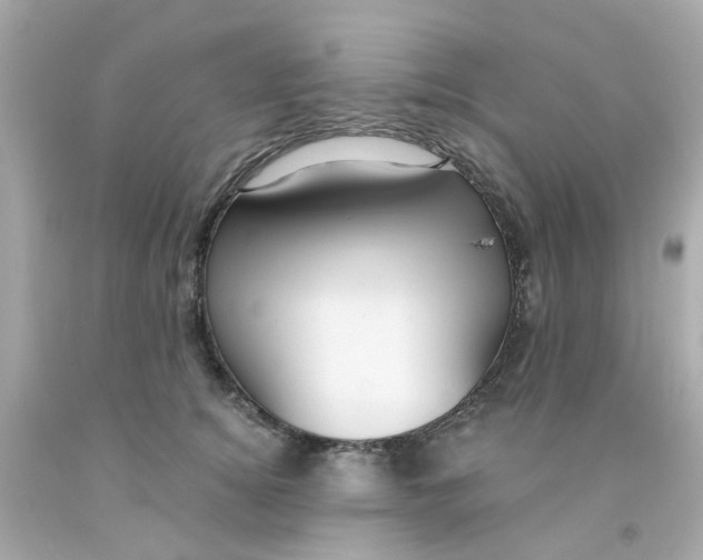 X0000093140756200710241342