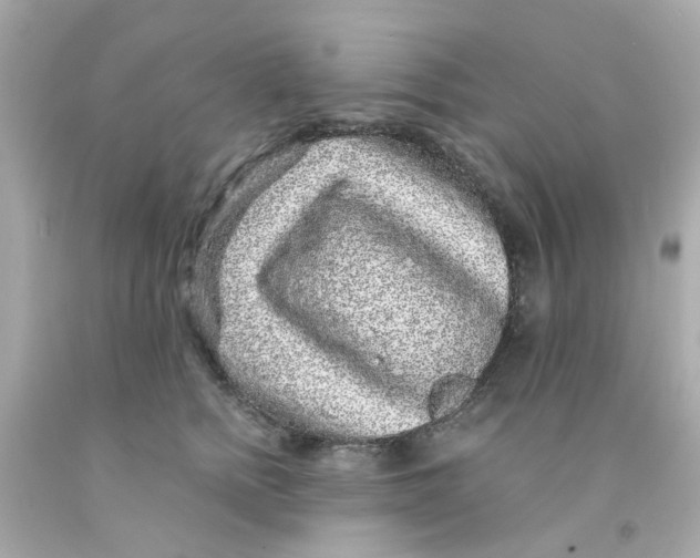 X0000093140758200710241342