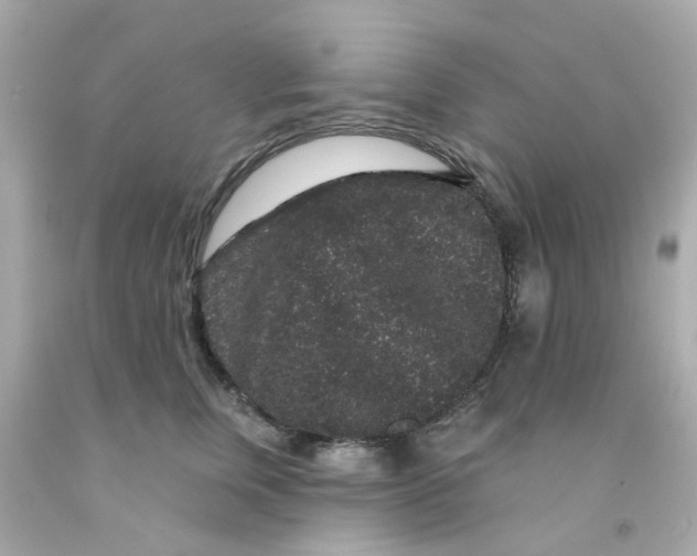 X0000093140759200710241342