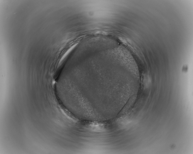 X0000093140760200710241342