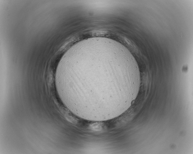 X0000093140761200710241342