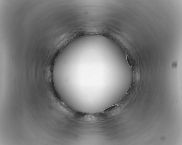 X0000093140764200710241342