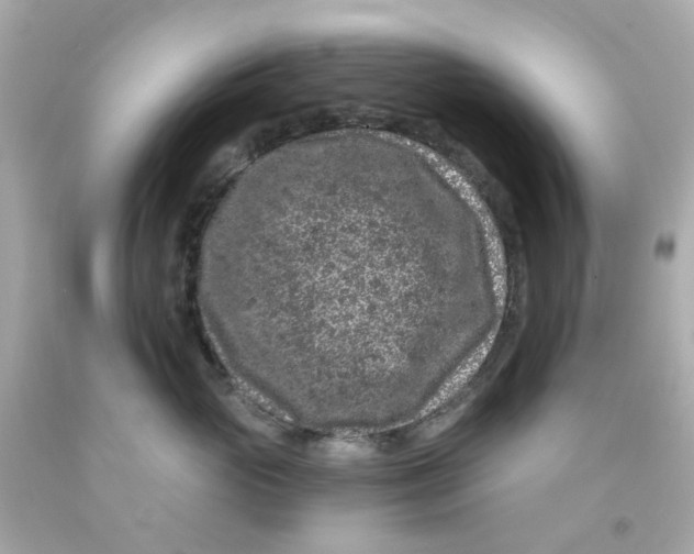 X0000093140765200710241342