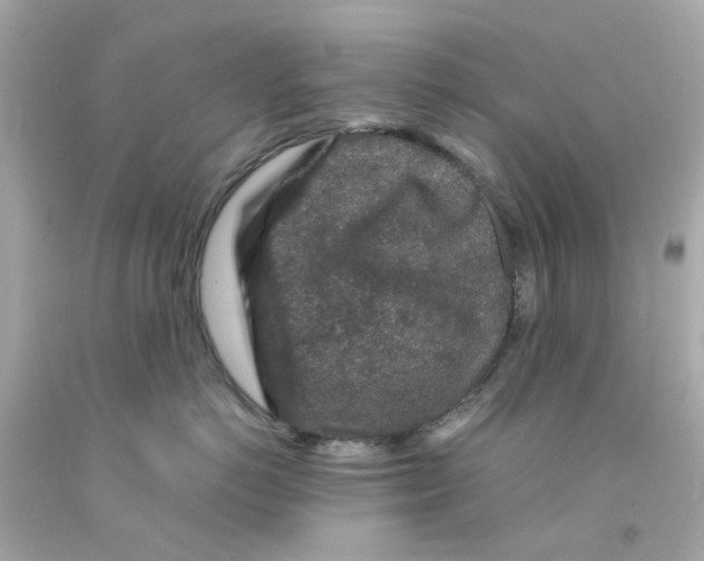 X0000093140766200710241342