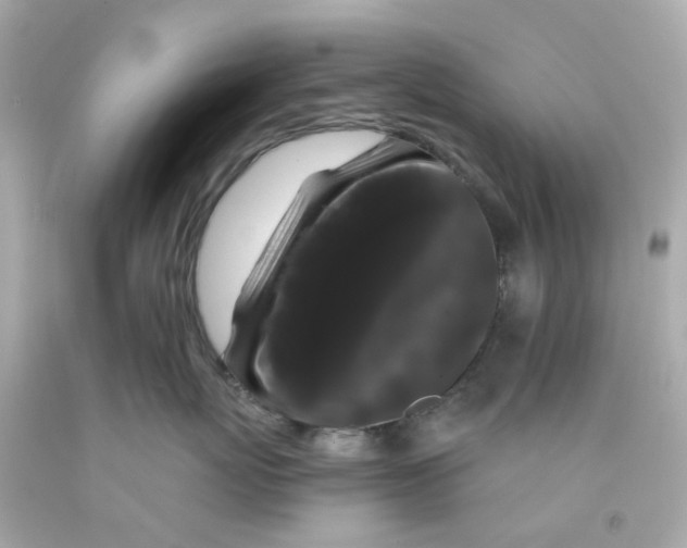 X0000093140767200710241342