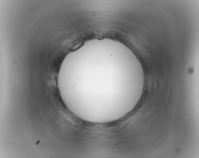 X0000093140770200710241342