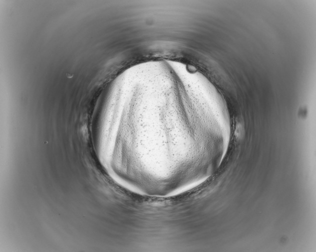 X0000093140771200710241342