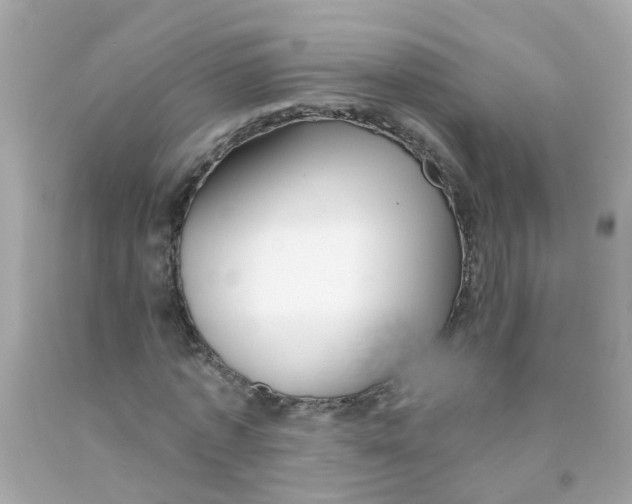 X0000093140773200710241342