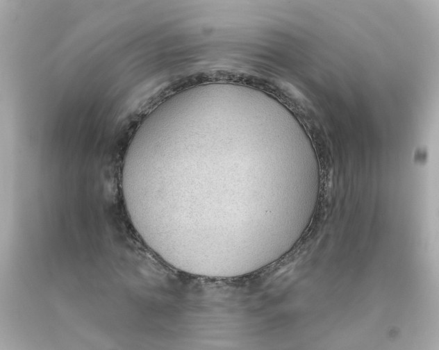 X0000093140774200710241342