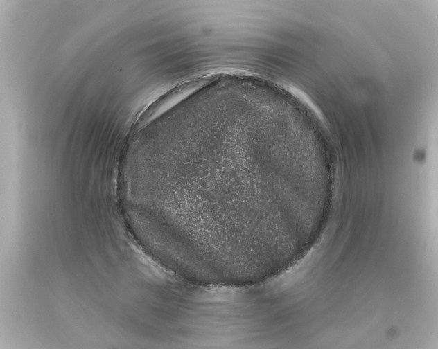 X0000093140777200710241342