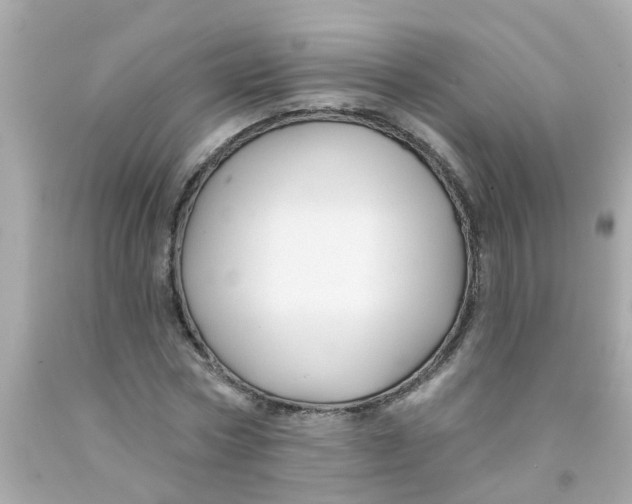 X0000093140778200710241342