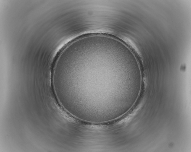 X0000093140781200710241342