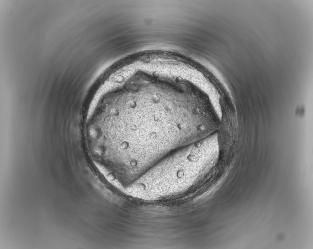 X0000093140783200710241341