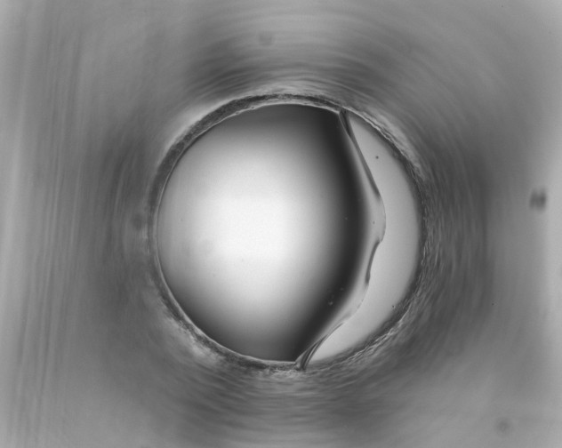 X0000093140784200710241341