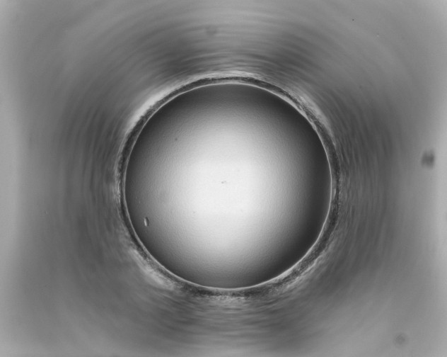 X0000093140789200710241341