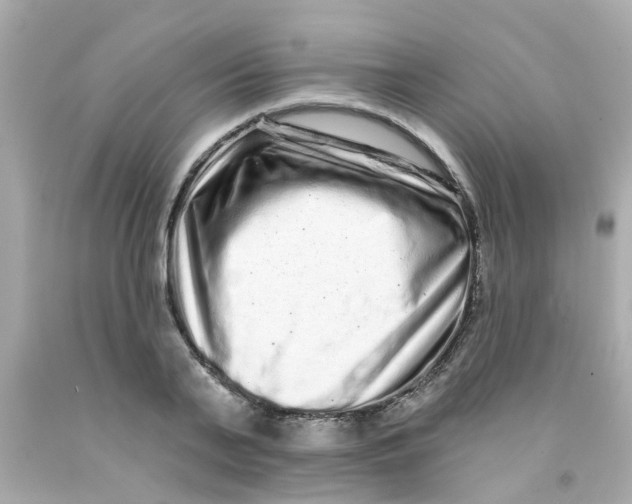 X0000093140791200710241341