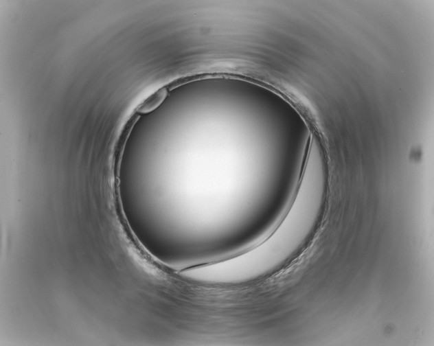 X0000093140792200710241341