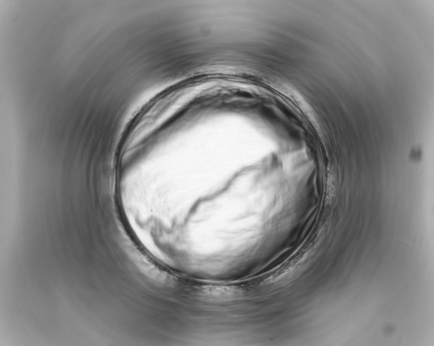 X0000093140795200710241341