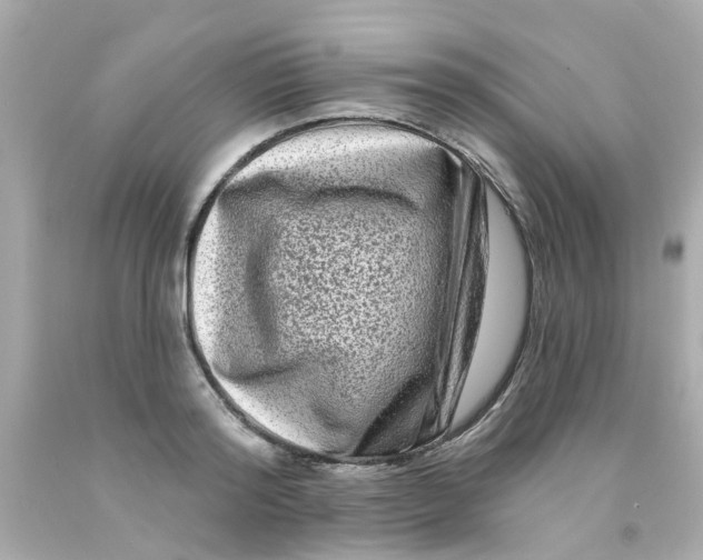 X0000093140796200710241341