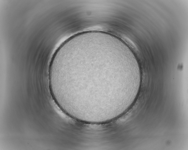 X0000093140800200710241341