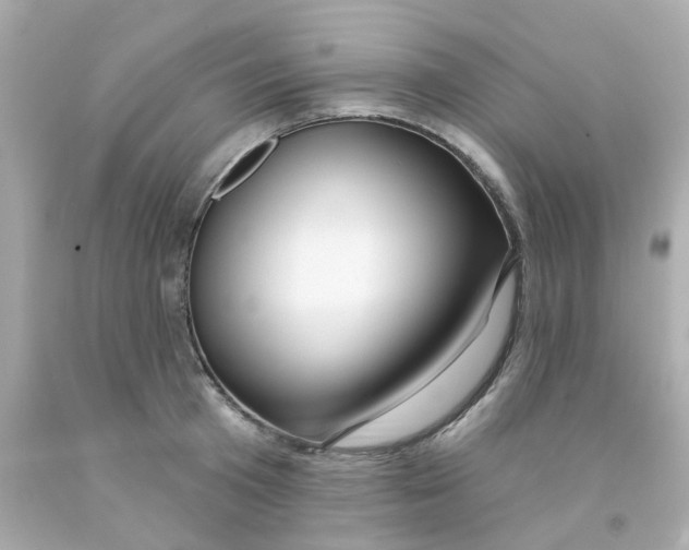 X0000093140801200710241341