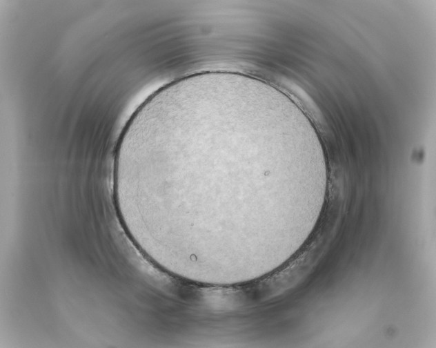 X0000093140804200710241341