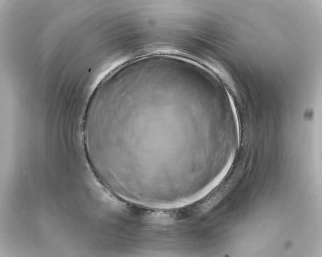 X0000093140806200710241341