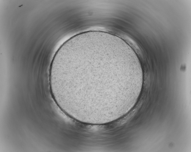 X0000093140808200710241341