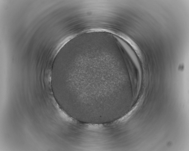 X0000093140809200710241341