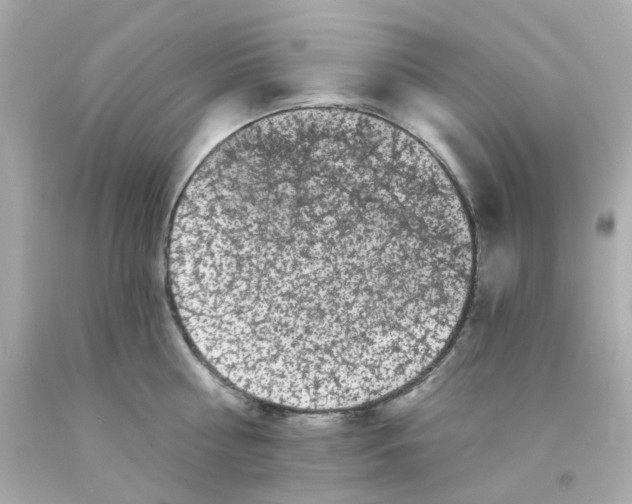 X0000093140810200710241341